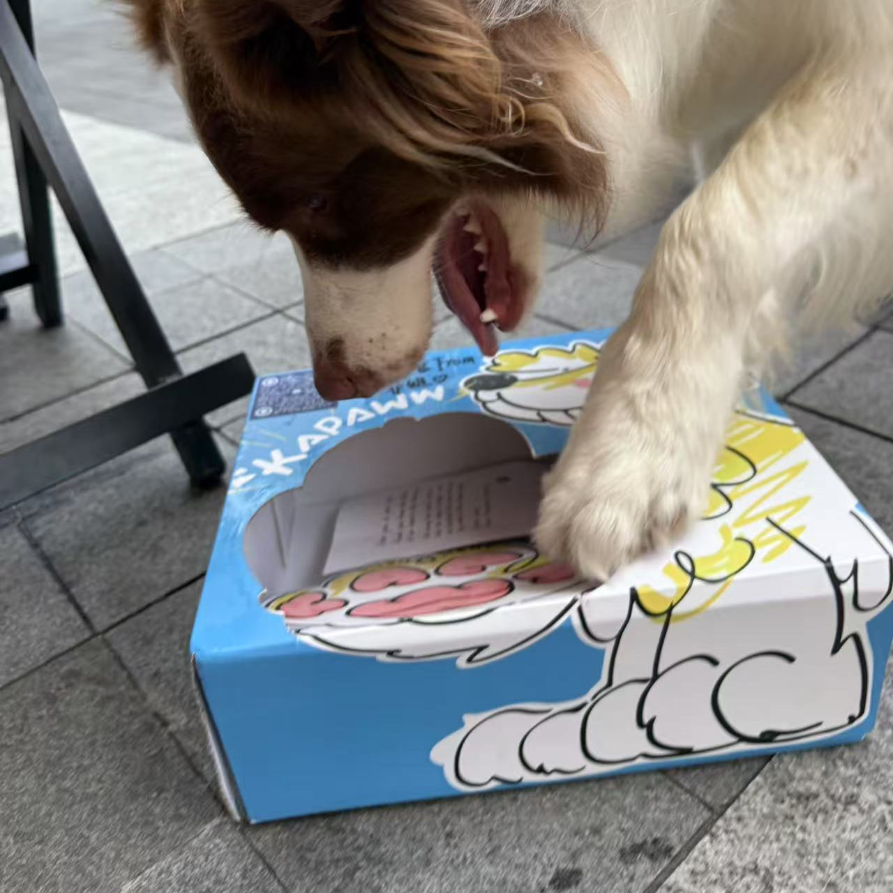 Kapaww Pup Box