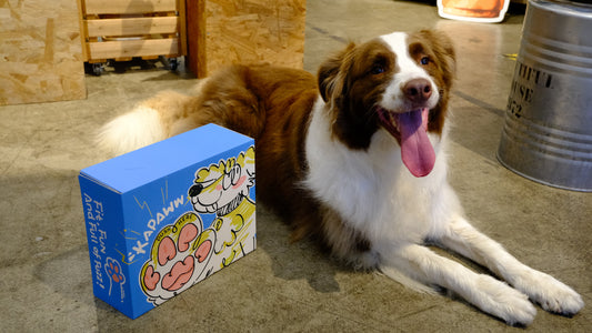 How to Gift a Surprise Puppy (Even If They Stay Home Alone All Day)