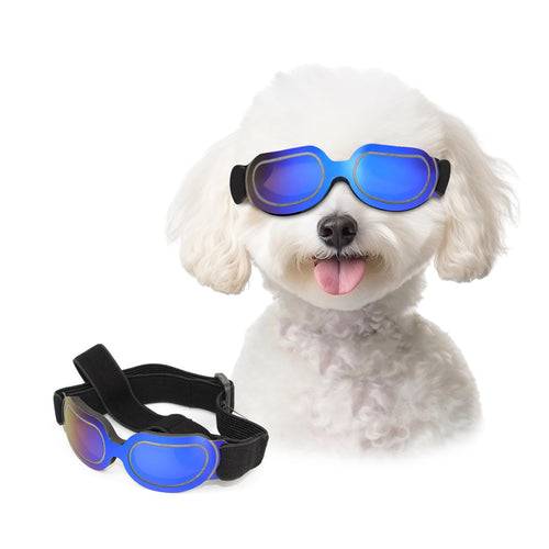 Free Dog Sunglasses