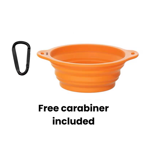 Collapsible Dog Bowl