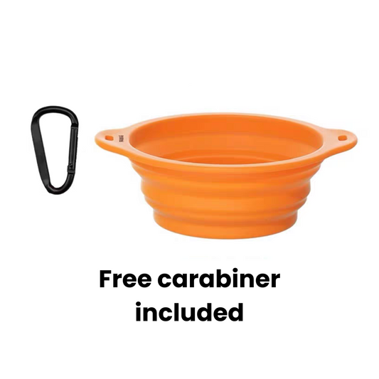 Collapsible Dog Bowl